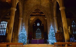 Sheffield Cathedral Christmas trees