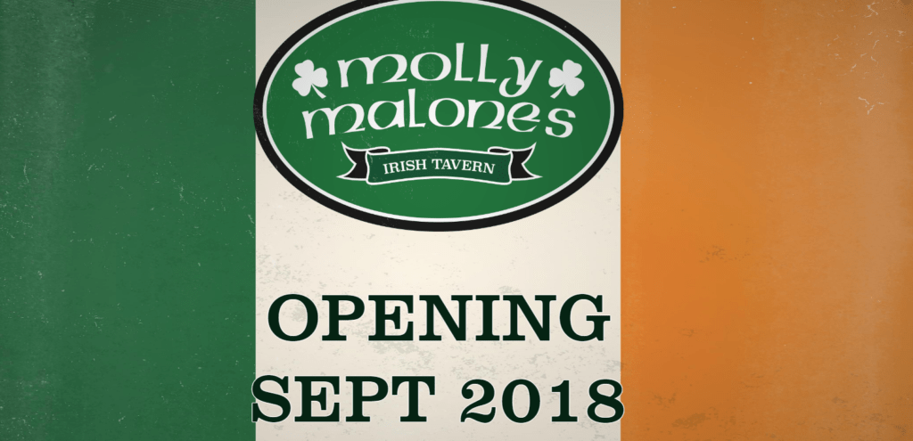 molly - malones - sheffield