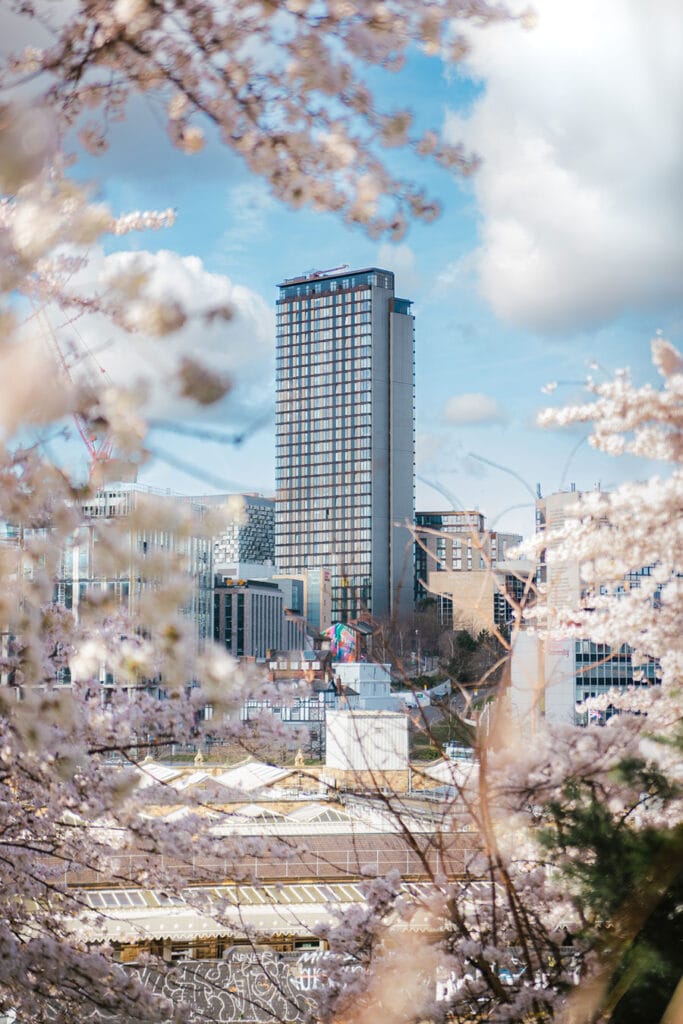 Through the lens - Emma Bothamley