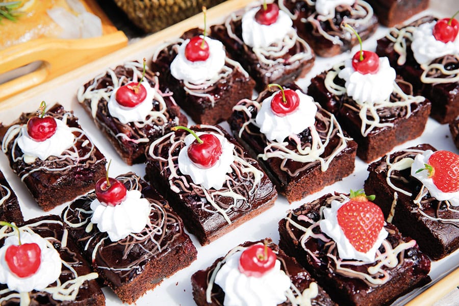 Sheffield Vegan Festival