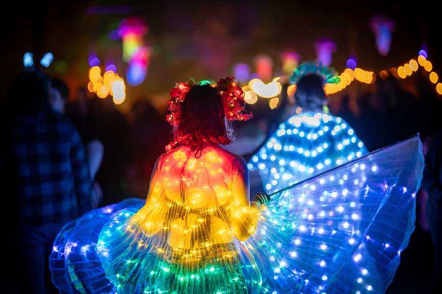 Illuminate the Gardens