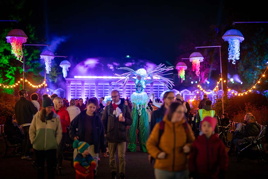 Illuminate the Gardens