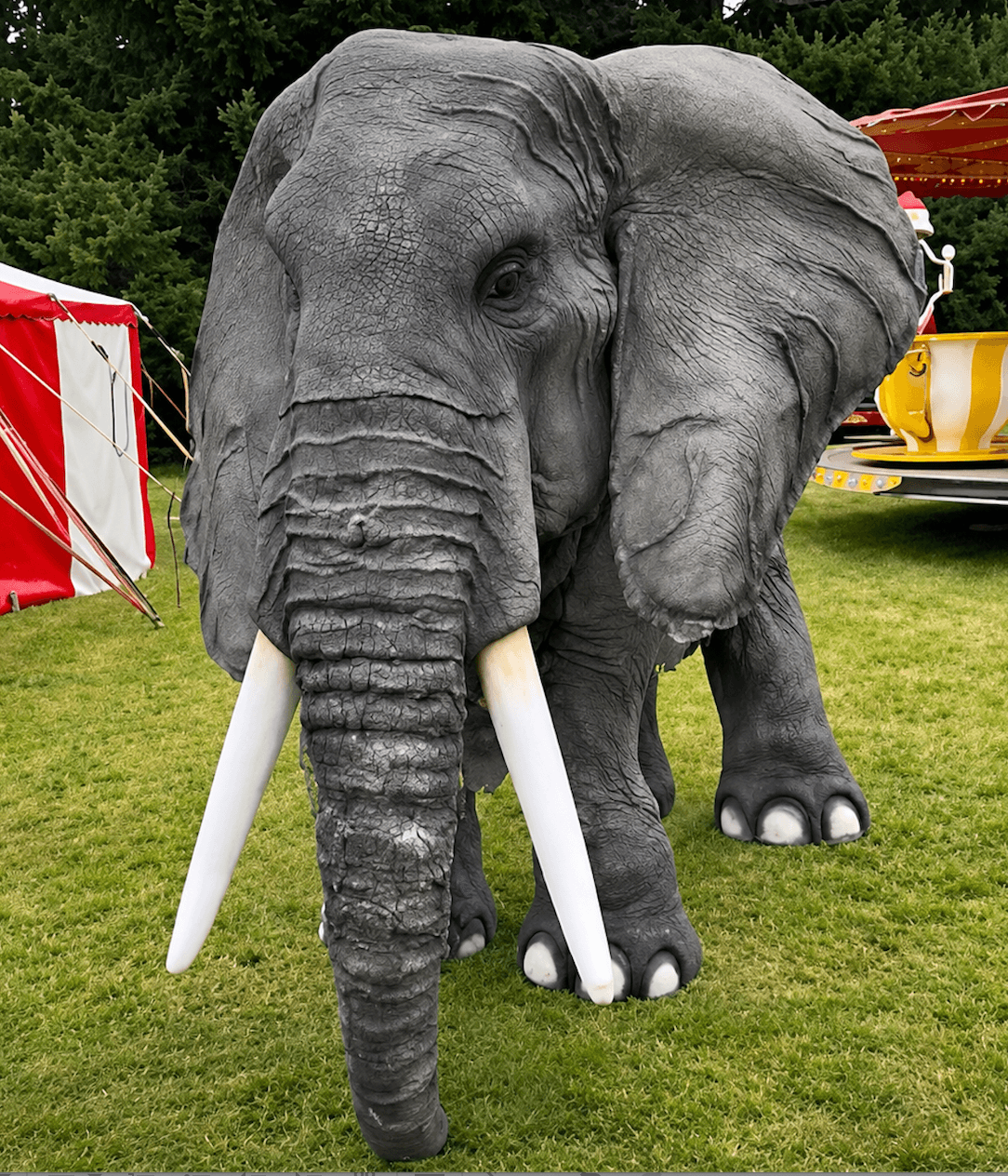 Rock n Roll Circus 2026
